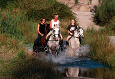 Portugal-Alto Alentejo-Alto Alentejo Riding Escape